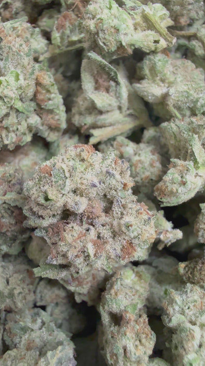 1 Pound - MIDNIGHT COOKIES THCA Flower (SMALL)
