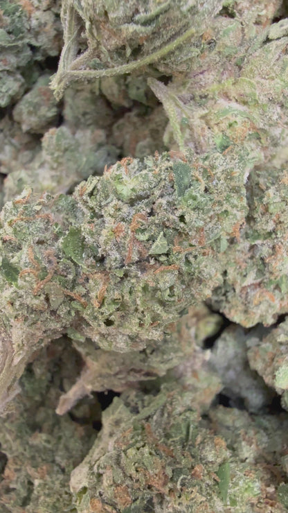 1 Pound - Face Off OG THCA Flower