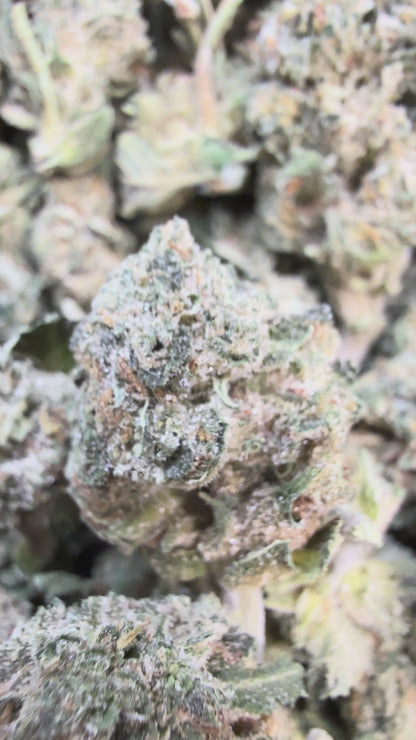 1 Pound - Jokers Runtz THCA Flower (Small)