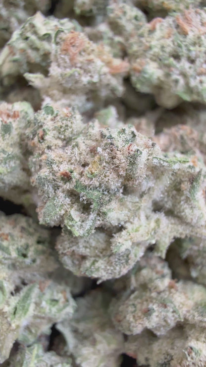 1 Pound - TERPEE SLURPEE THCA Flower (SMALL)