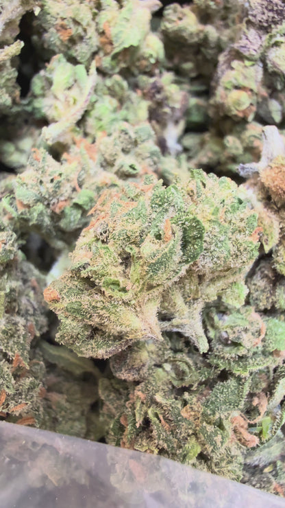 1 Pound - Sherbanger THCA Flower (Smalls)
