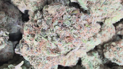1 Pound - Super Duper Runtz THCA Flower