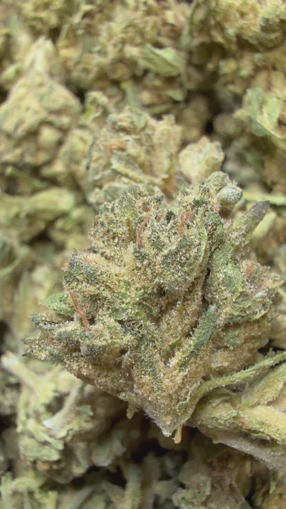 1 Pound - Grape Cream Cake THCA Flower (Smalls)