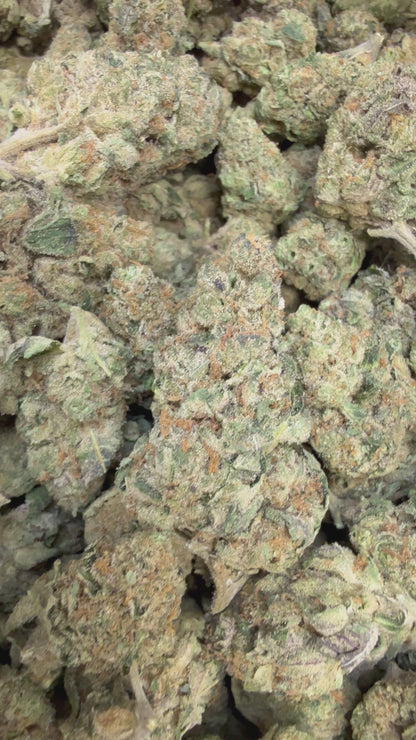 1 Pound - Freeze Popz THCA Flower