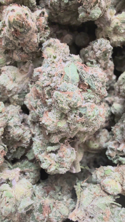 1 Pound - Gelato Mintz THCA Flower