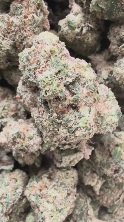 1 Pound - Mafia Funeral THCA Flower