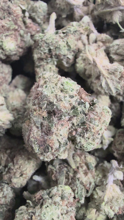1 Pound - BISCOTTI PANCAKES THCA Flower (SMALL)