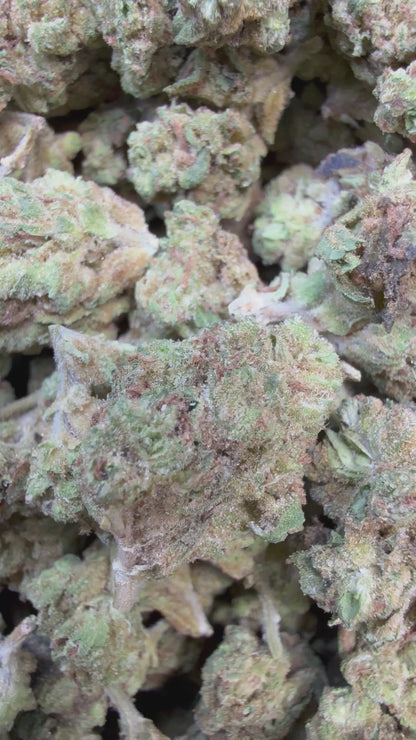 1 Pound - Ice Cream Pie THCA Strain (Small)