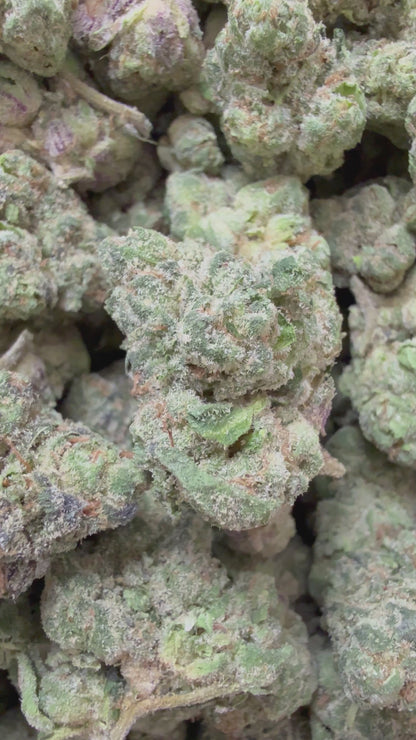 1 Pound - Jealousy Runtz THCA Flower