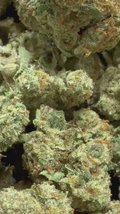 1 Pound -DUTCH TREAT THCA Flower (SMALL)