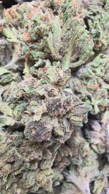 1 Pound - Zangria THCA Flower (Smalls)
