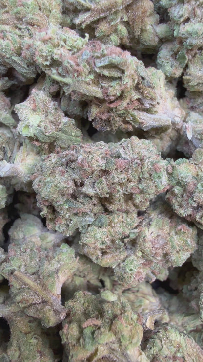 1 Pound - Ice Cream Pie THCA Strain (Small)