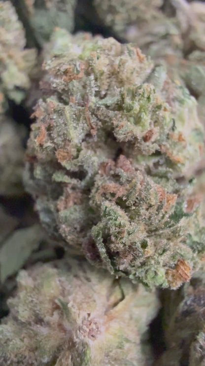1 Pound - GELATO RUNTZ THCA Flower (SMALL)