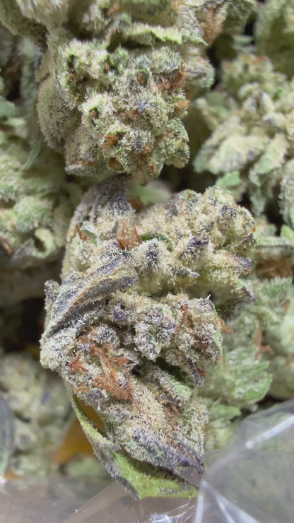 1 Pound - PLATINUM COOKIES AND CREAM THCA Flower (SMALL)