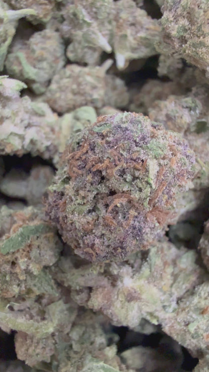 1 Pound - PURPLE SOUR BOMB THCA Flower (SMALL)