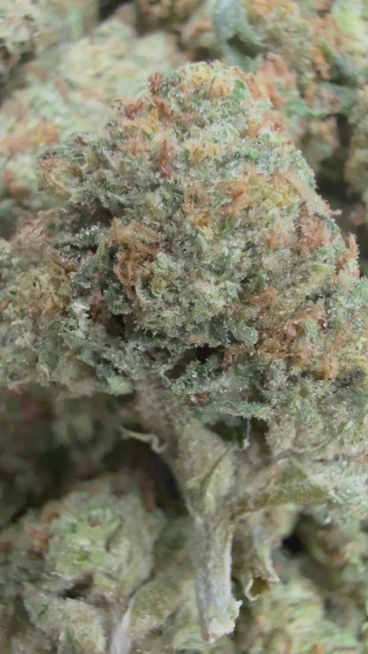 1 Pound - RAINBOW CANDY THCA Flower (SMALL)
