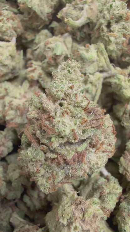 1 Pound - JELLY RANCHER THCA Flower (SMALL)