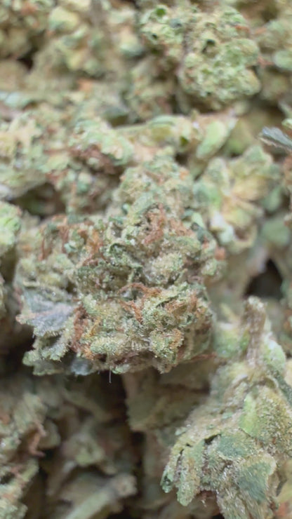 1 Pound - El Chapo OG THCA Flower (Smalls)
