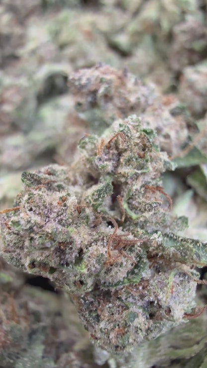 1 Pound - CHERRY GELATO THCA Flower (SMALL)