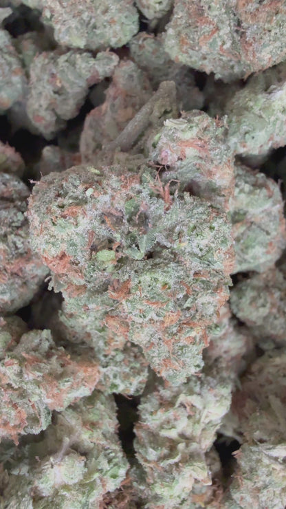 1 Pound - Black Gelato THCA Flower