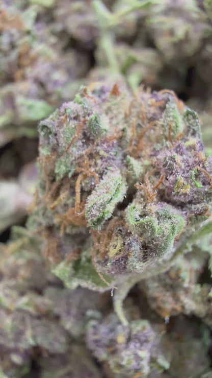 1 Pound - TROP CHERRY THCA Flower (SMALL)